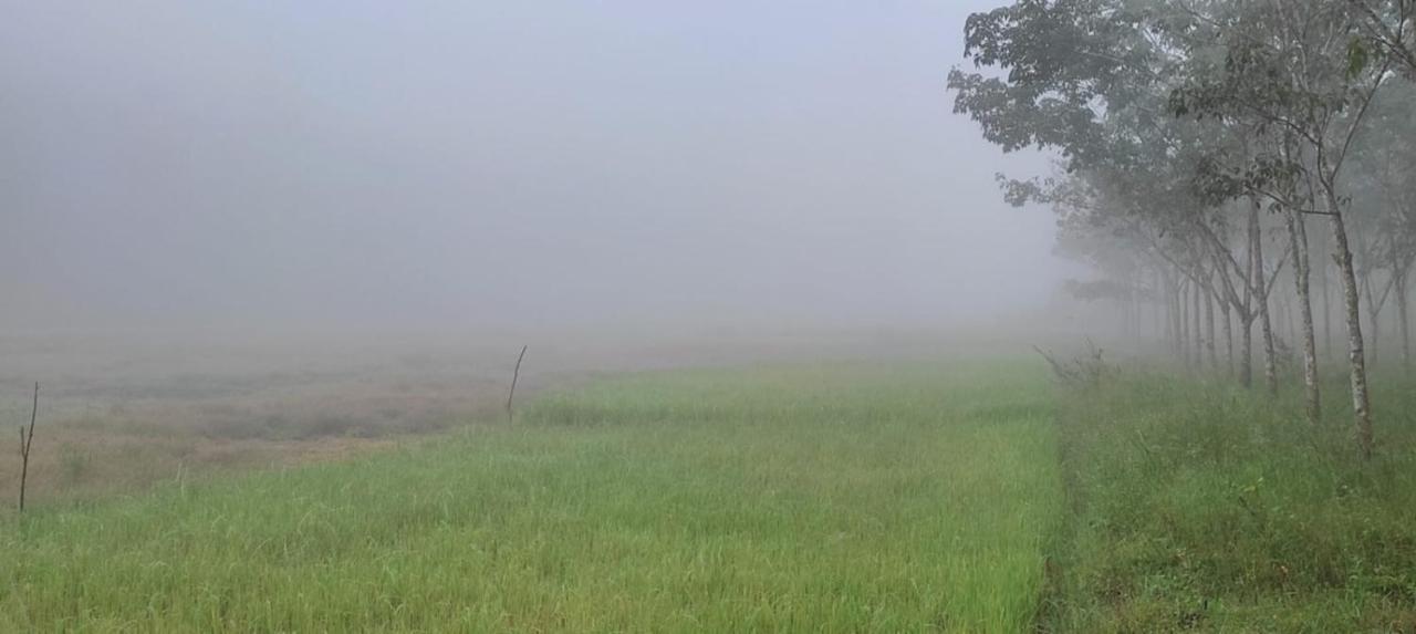 Paradise * Wayanad