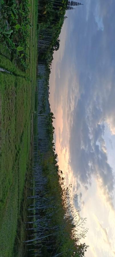 Paradise Wayanad